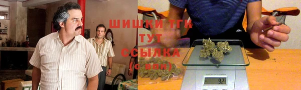индика Баксан
