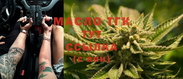 индика Баксан
