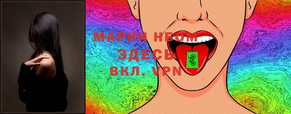 индика Баксан