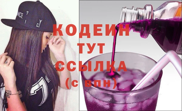 индика Баксан