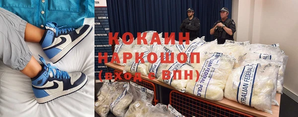 индика Баксан