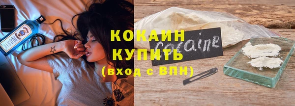 индика Баксан