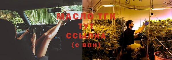 индика Баксан