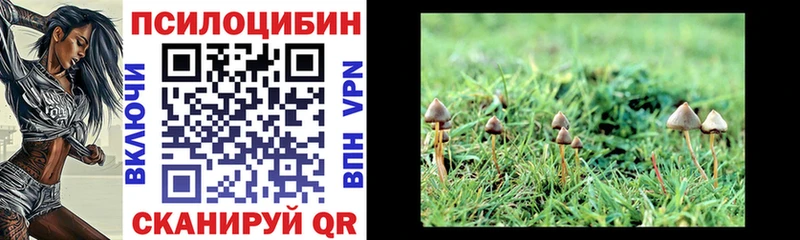Псилоцибиновые грибы Cubensis  Белинский 